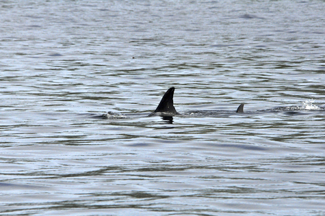 Melanie Heinrich Images - Alaska