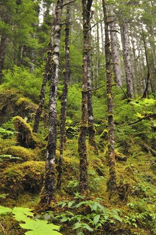 Melanie Heinrich - Travel in Alaska
