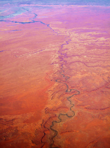 Melanie Heinrich Photographer