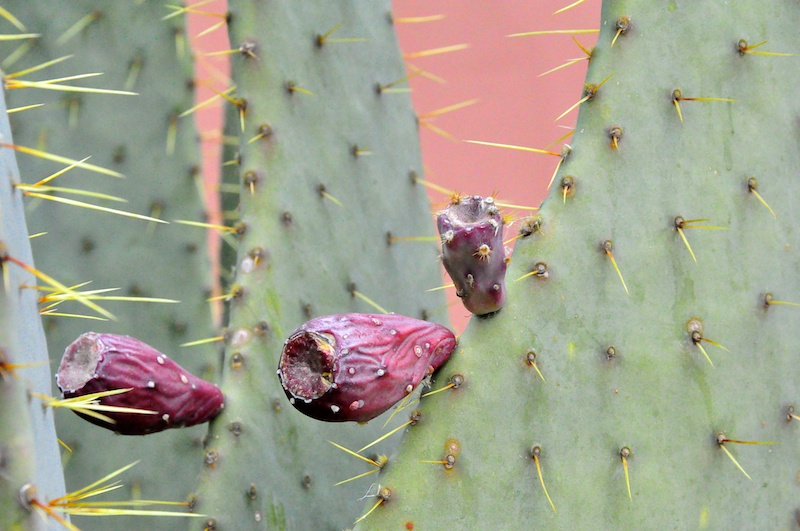 Melanie Heinrich - Travel in Arizona