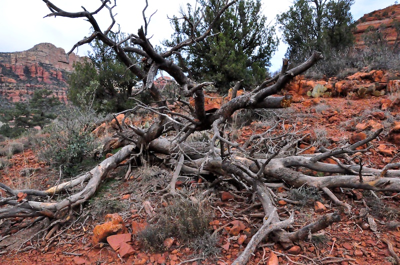 Melanie Heinrich - Travel in Arizona