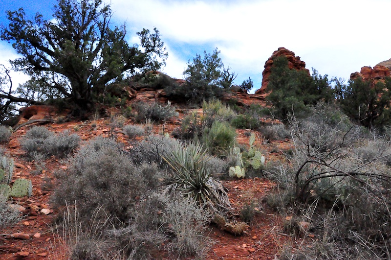 Melanie Heinrich - Travel in Arizona