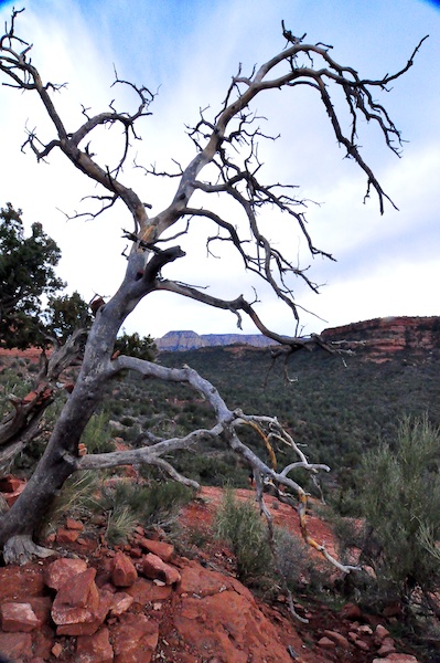 Melanie Heinrich - Travel in Arizona
