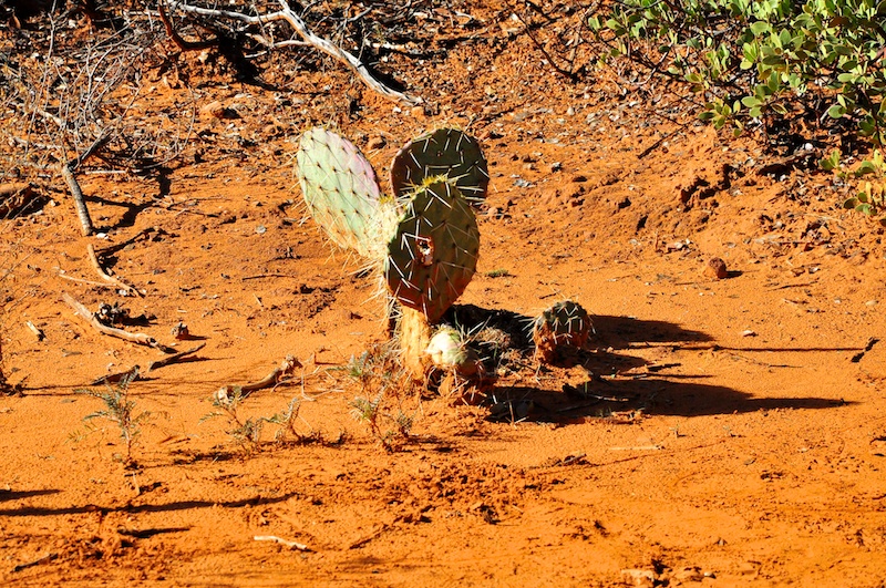 Melanie Heinrich - Travel in Arizona