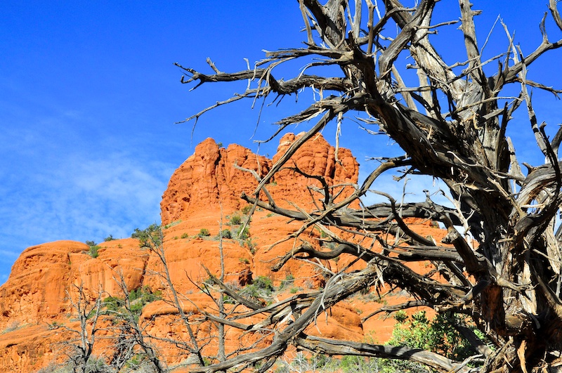 Melanie Heinrich - Travel in Arizona