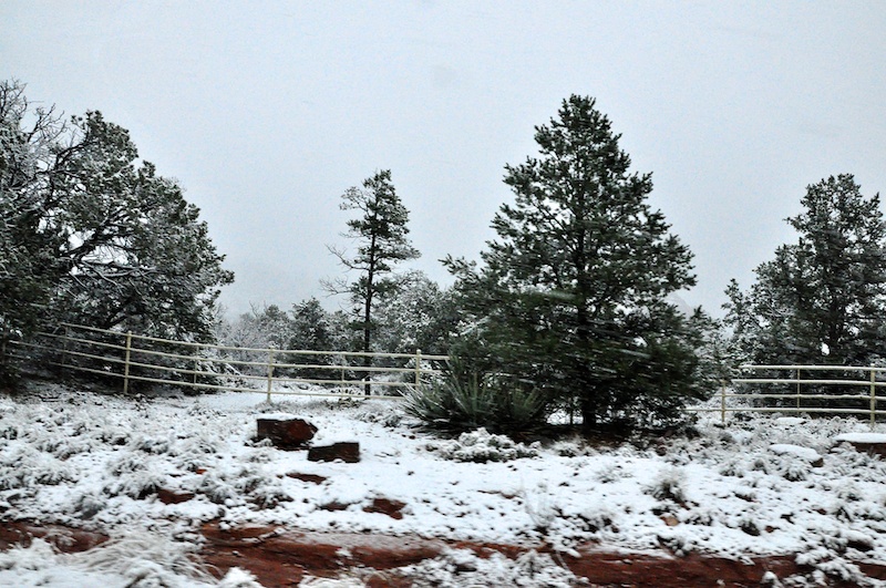 Melanie Heinrich - Travel in Arizona