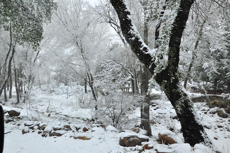 Melanie Heinrich - Travel in Arizona
