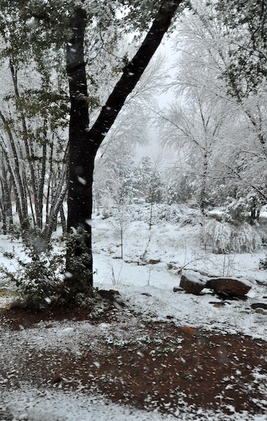 Melanie Heinrich - Travel in Arizona